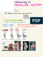 Embryology Neuromuscular