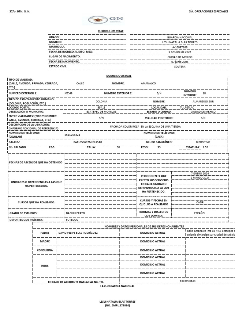 Curriculum pdf