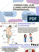 Patologías Del Eje Hipotalamo Hipofisis Suprarrenal Expo 9
