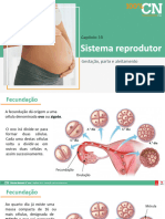 Gestação, Parto e Aleitamento