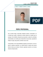 Perfil Profesional: Camilo Andres Espitia Lopez