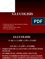 GLUCOLISIS