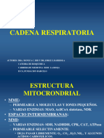 Cadena Respiratoria y Fosforilacion Oxidativa 2023