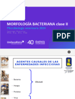 Morfología Bacteriana