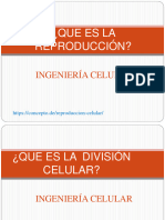 Mitosis y Meiosis