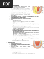 Técnicas de Anestesia Mandibular | PDF | Diente | Boca