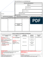 Formato Plan de Cuidado-1