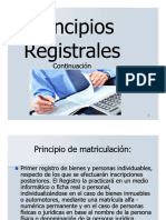 Principios Registrales 2