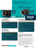 SNY XCL SG CG - Iberoptics