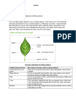 Leaf Structure and Adptation For Photosynthesis (Notes)