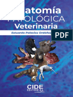 Libro Anatomia Patologia Veterinaria