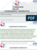 Curso de Formación Profesional de Acompañante Terapéutico-Presentacion