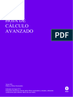 Tema 5 - Hoja de Cálculo Avanzado