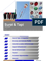 Surat Tapi District Profile