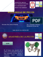 Patologias de Pelvis Completo