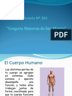 El Cuerpo Humano