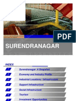 Surendranagar District Profile