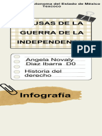 Infografía Guerra de La Independencia Angela Novaly