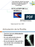 Anatómia Rodilla LISTO