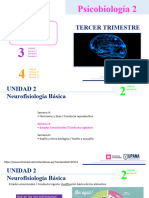 Semana 5 Unidad 2 Psicobiología 2