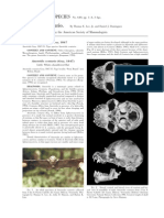 Little White-Shouldered Bat Species Profile