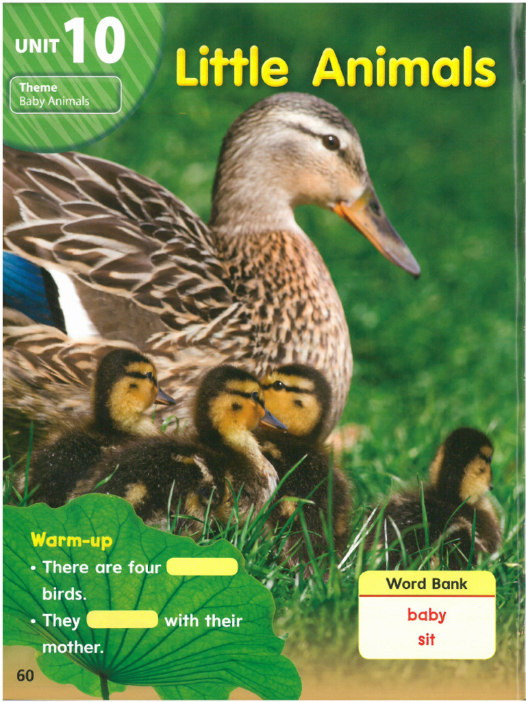 Wonderskills Reading Starter 2Unit 10 PDF