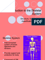 The Skeletal System Anatomy - Classppt