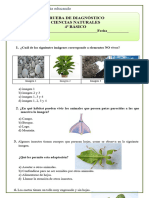 Diagnostico CS Nat 4 Basico