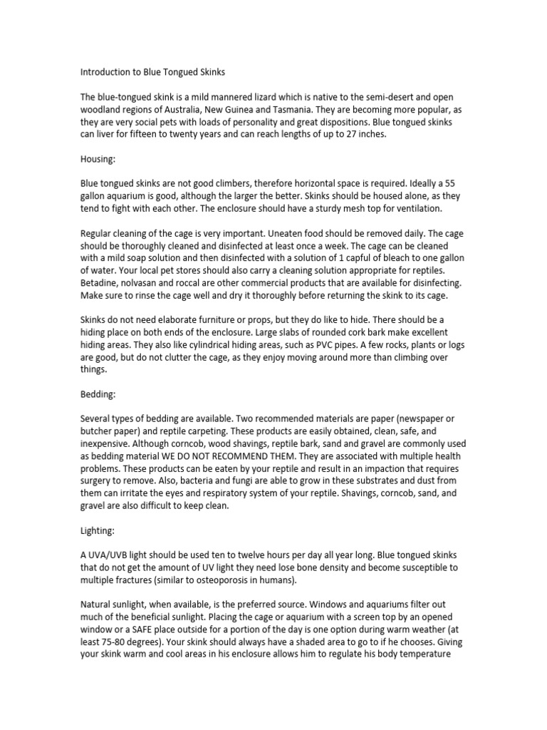 Picture of Blue Tongued Skink Care Guide | PDF | Ultraviolet | Vegetables