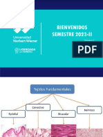 Teoria 2 Tej. Conjuntivo 2023-2