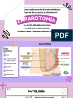 Laparotomía Exploratoria (Técnica Quirúrgica)