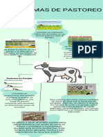 Infografia Sistemas de Pastoreo