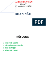 Doan Nao
