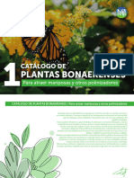 Catálogo Plantas Nativas 1. Municipio de Ituzaingó