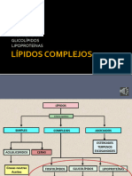 Clase 4-LÍPIDOS 2º Parte 2