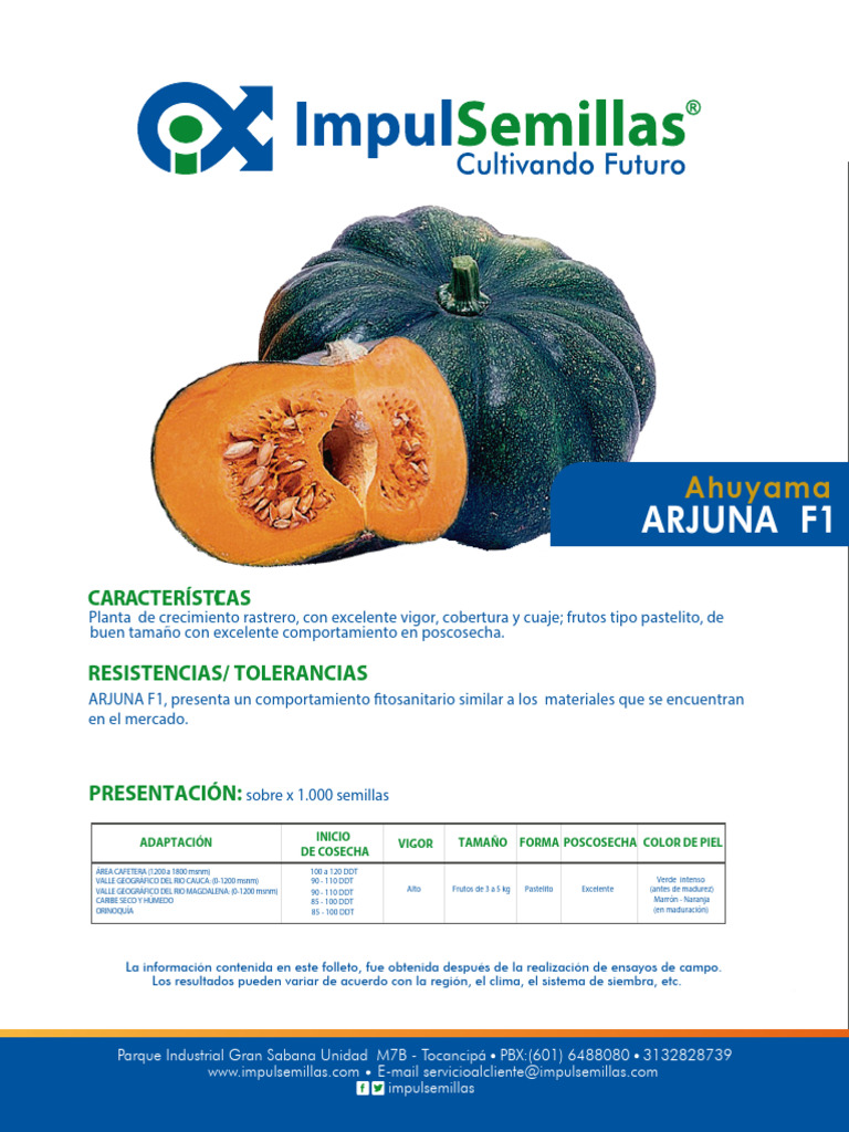 Ahuyama Arjuna F1: Características y Cultivo | PDF