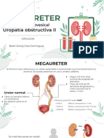 Megaureter - Uropatía Obstructiva II