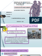 Contaminacion Visual