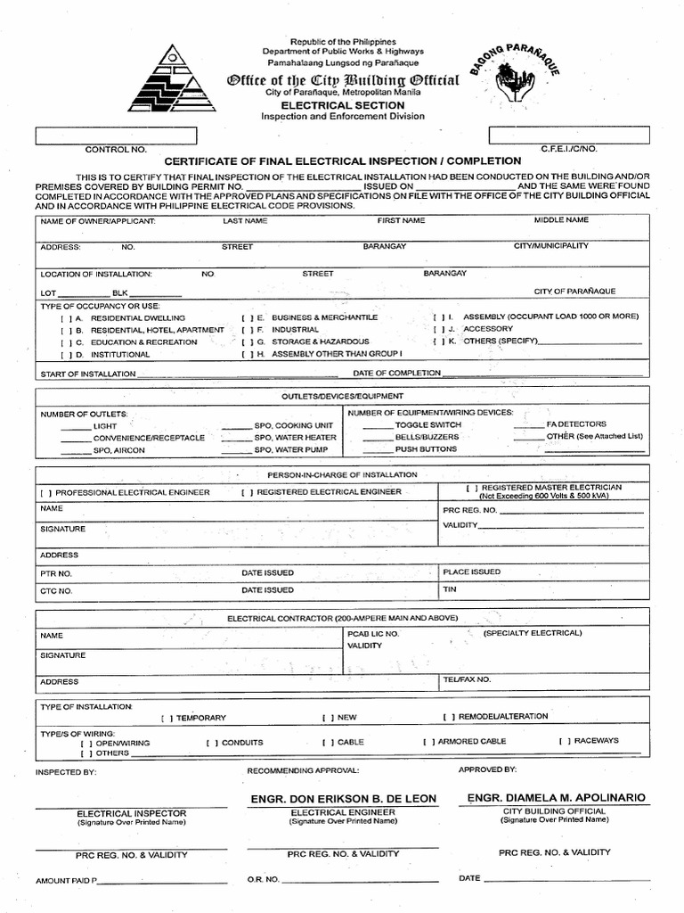 CFEI-Form | PDF
