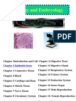 Epithelial Tissue Practice