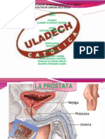 Prostata y Vejiga 4