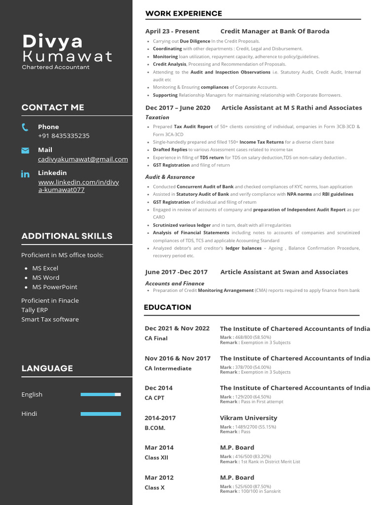 Modern Minimalist CV Resume | PDF | Audit | Taxes