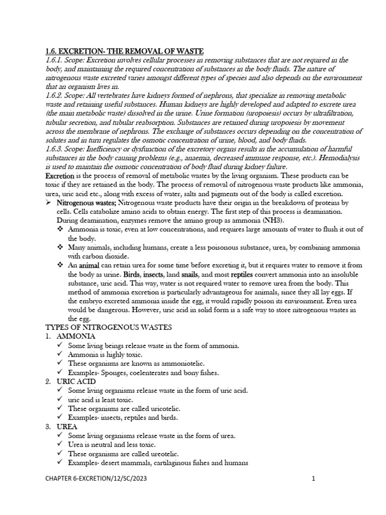 1.6 EXCRETIONThe Removal of Waste PDF Kidney Hemodialysis