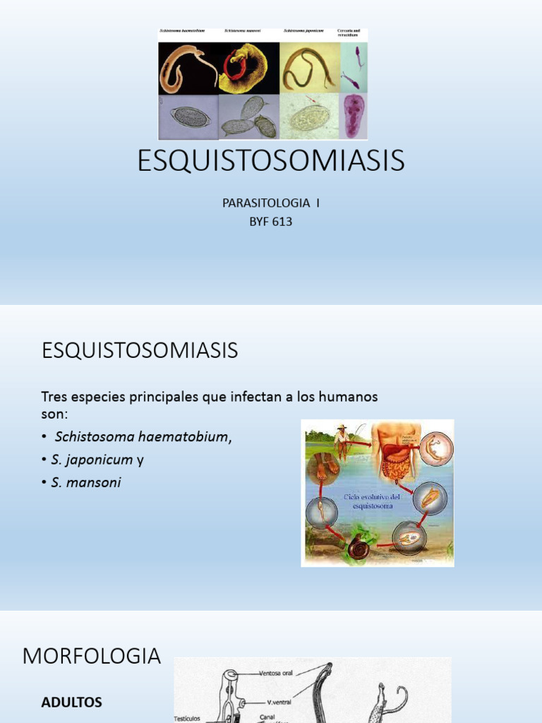 Esquistosomiasis 1 | PDF | Ciencia y matemáticas