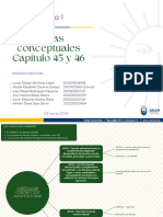 Mapa Conceptual Cap 45 y 46