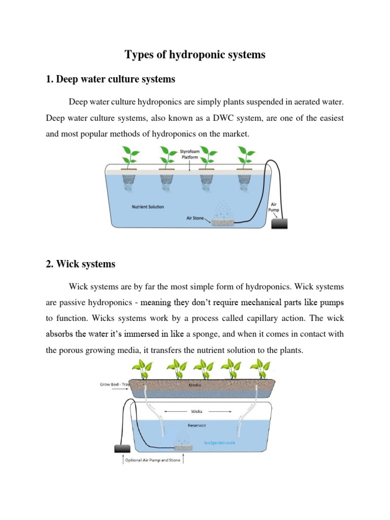 Overview of Hydroponic System Types | PDF | Science & Mathematics