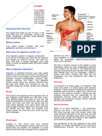 Digestive System