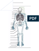 Skeleton Assessment