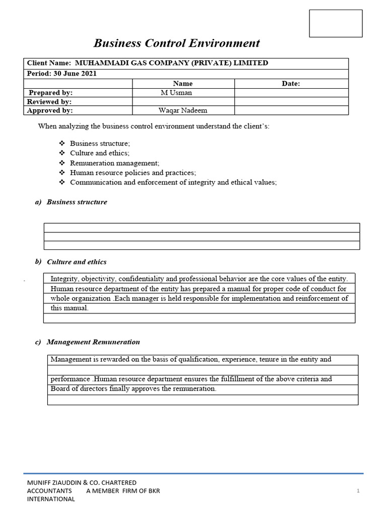 Business Control Environment PDF Human Resources Business