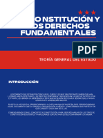 La Contitución y Los Derechos Fundamentales